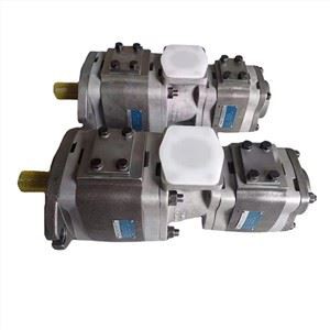 VOITH آلمان IPV سری IPVP IPV/5/50+IPC6/125/101 پمپ های دنده داخلی فشار قوی دو پمپ